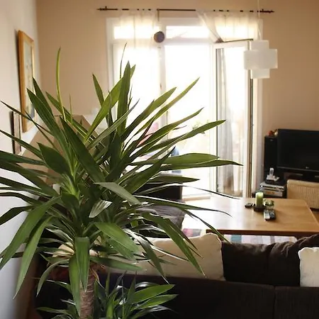 Apartment Latica Pula